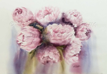 ©Hana Diener 2025 Pfingstrosen, Aquarell