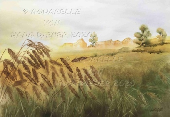 ©Hana Diener 2025 Hitzewelle Aesch Baselland, Schweiz, Aquarell